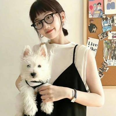 新十二生肖